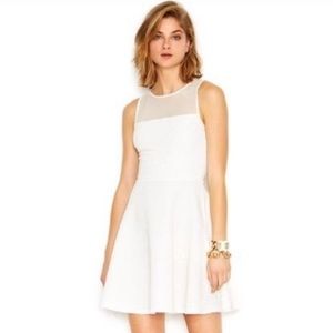 Bar III White w/ Gold Glitz & Mesh Cocktail Dress